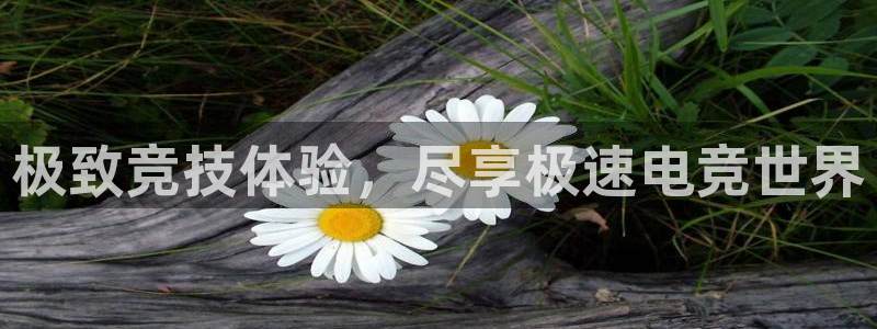 乐鱼电竞下载：极致竞技体验，尽享极速电竞世界