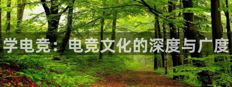 乐鱼电竞：学电竞：电竞文化的深度与广度