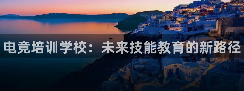 乐鱼电竞app下载：电竞培训学校：未来技能教育的新路径