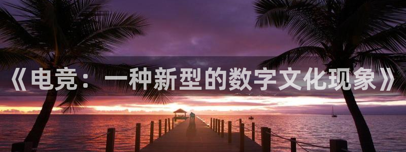 乐鱼电竞app下载：《电竞：一种新型的数字文化现象》