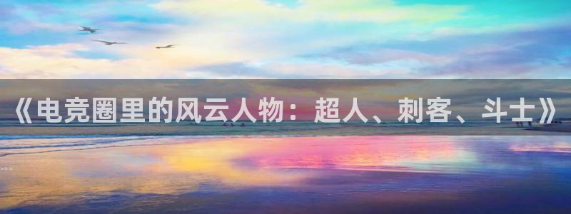 乐鱼电竞网站：《电竞圈里的风云人物：超人、刺客、斗士》