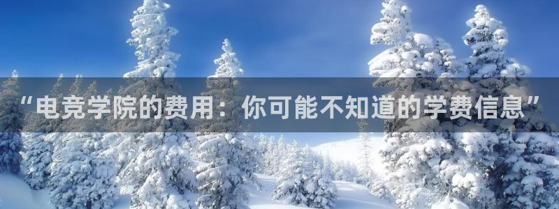 乐鱼电竞网站：“电竞学院的费用：你可能不知道的学费信息”