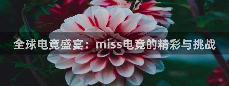 乐鱼电竞app下载：全球电竞盛宴：miss电竞的精彩与挑战