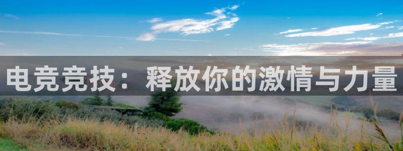 乐鱼电竞网站：电竞竞技：释放你的激情与力量