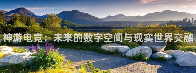 乐鱼电竞平台：神游电竞：未来的数字空间与现实世界交融