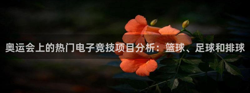 乐鱼电竞app：奥运会上的热门电子竞技项目分析：篮球、足球和排球