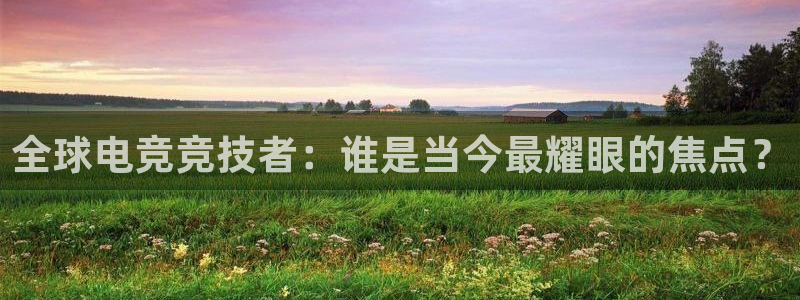 乐鱼电竞：全球电竞竞技者：谁是当今最耀眼的焦点？