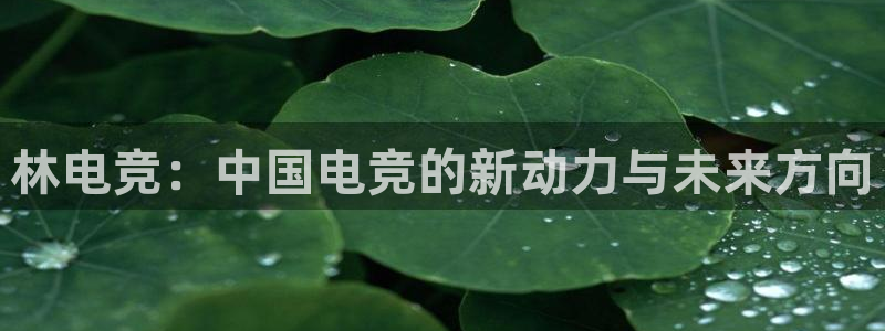 乐鱼电竞英雄联盟app官方：林电竞：中国电竞的新动力与未来方向