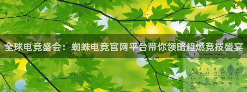 乐鱼电竞官网：全球电竞盛会：蜘蛛电竞官网平台带你领略超燃竞技盛宴