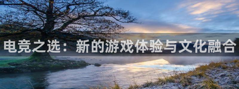 乐鱼电竞app：电竞之选：新的游戏体验与文化融合