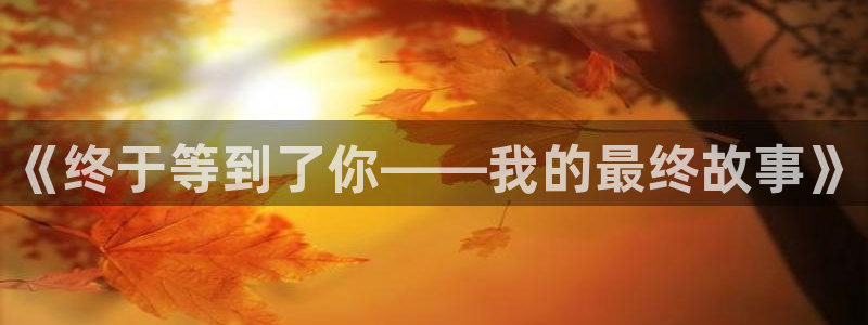 乐鱼电竞官网：《终于等到了你——我的最终故事》